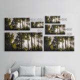 Sunlit Forest, Autumn Trees, Fall Home Decor, Framed Canvas Print, Nature Lover Gift, Cozy Wall Art, Woodland Art