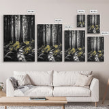 Redwood Forest, Tall Trees, Nature Path, Canvas Print, Moody Wall Art, Black and White Painting, Rustic Home Decor, Cabin Artwork