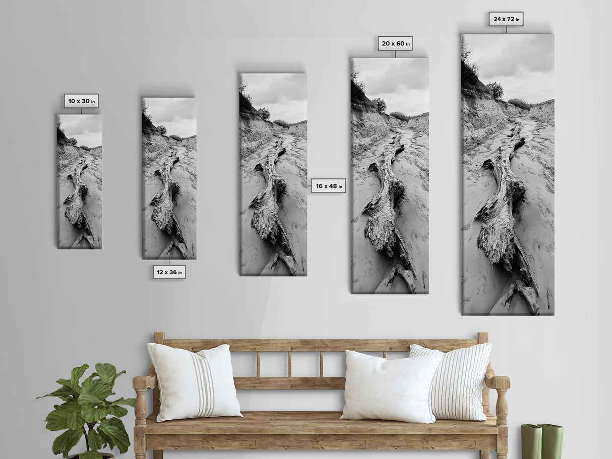 Driftwood, Nature Path, Earthy Decor, Rustic Home Style, Framed Canvas Print, Living Room Wall Art, Natural Landscape Photography