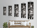 Sunlight Tree, Autumn Glow, Nature Shadowplay, Black White Forest Scene, Canvas Print, Fall Living Room Art, Boho Earthy Wall Decor