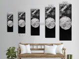 Sand Dollar Print, Minimalist Beach Decor, Sea Shell Wall Art, Coastal Bathroom or Nursery Style, Framed Canvas Print, Ocean Texture