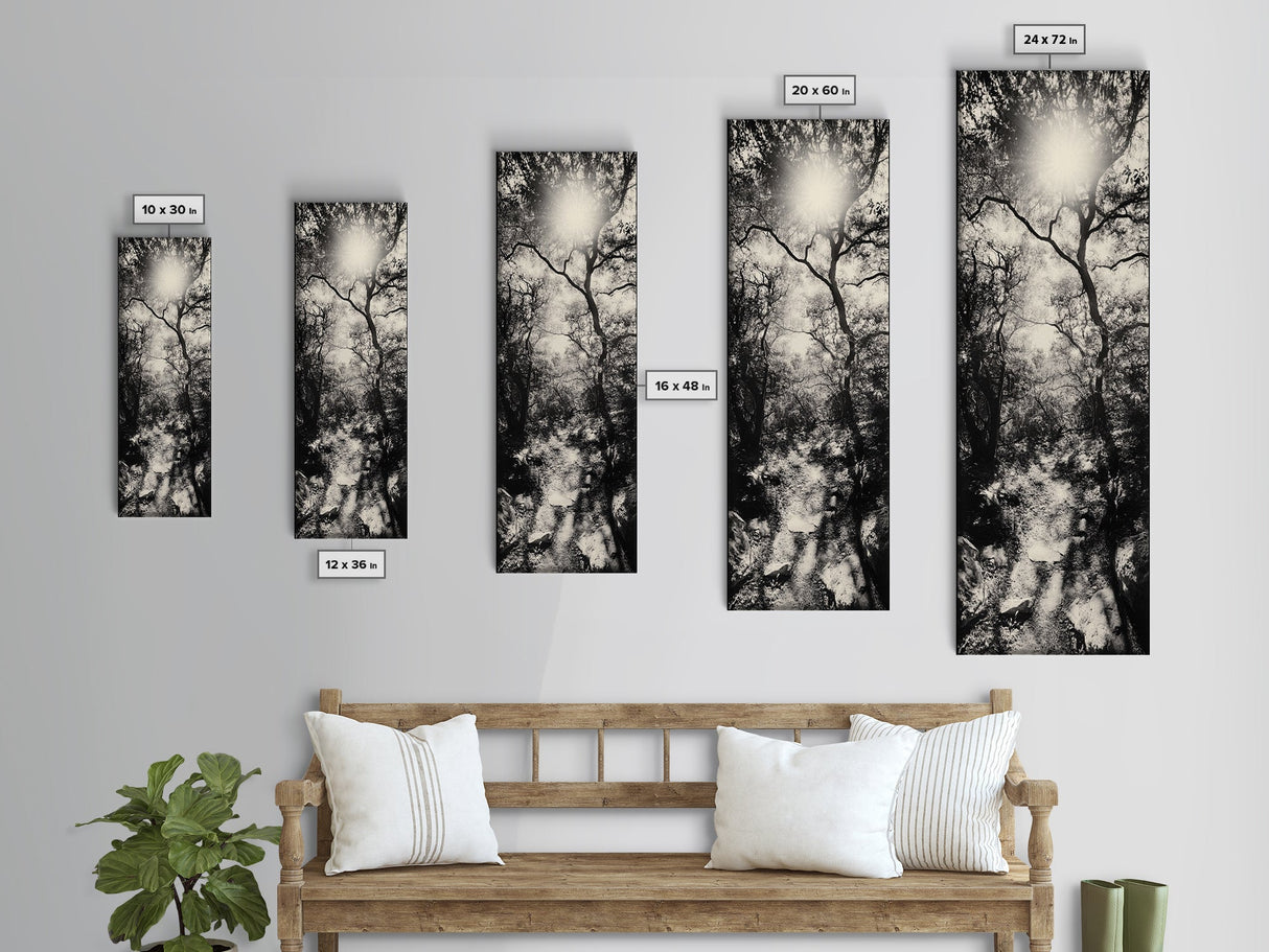 Forest Path, Sunburst Trees, Woodland Trail, Nature Light Framed Canvas Print, Boho Entryway Wall Art, Autumn Rustic Home Decor