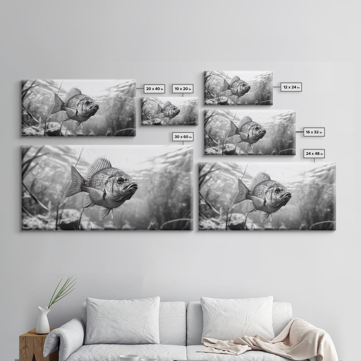 Underwater Fish, Nature Photography, Lake Life Scene, Freshwater Animal, Framed Canvas Print, Bathroom Wall Art, Minimalist Decor