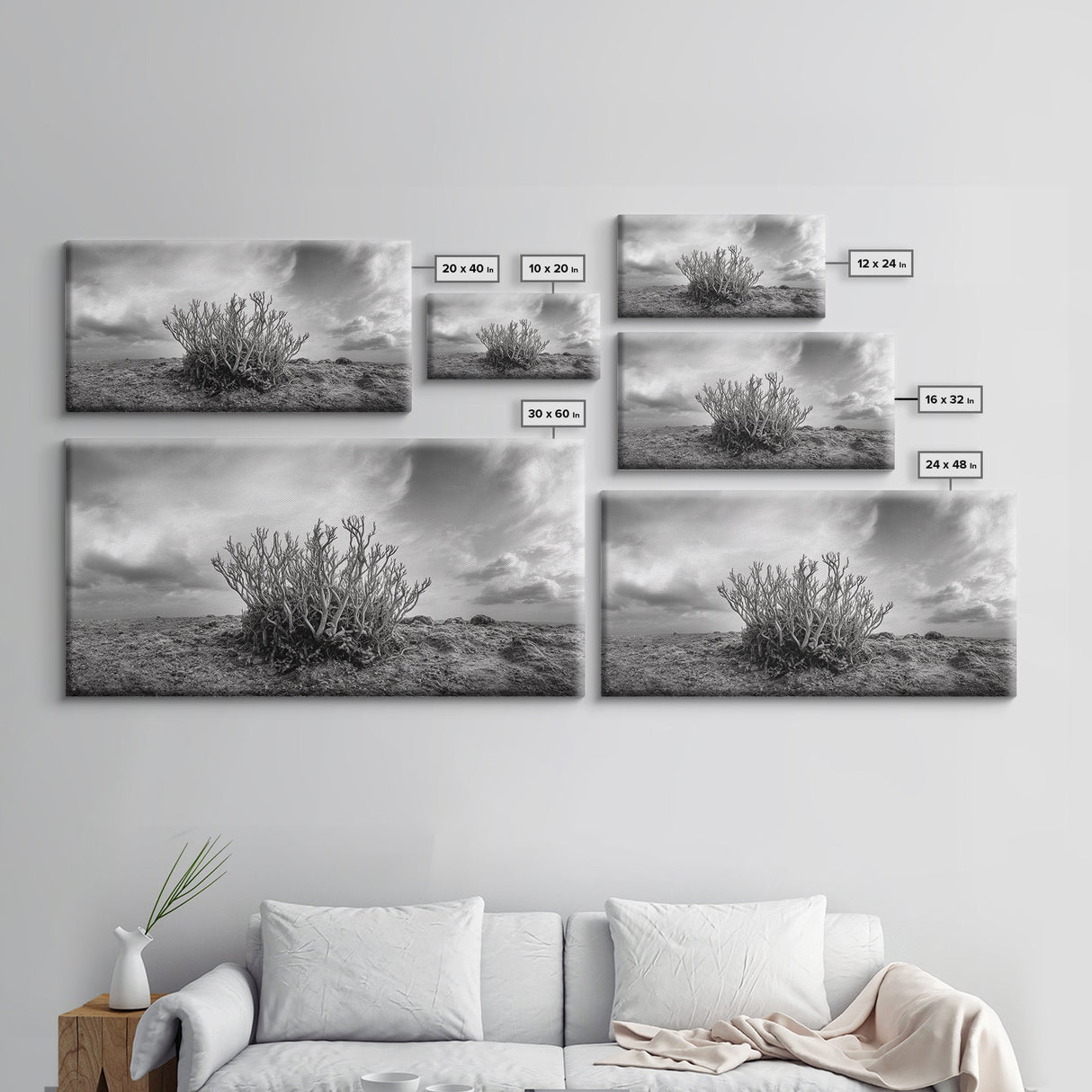 Desert Coral Plant, Dry Earth Botanical, Surreal Nature Texture, Minimal Wild Scene, Canvas Print, Office Wall Art, Earthy Decor