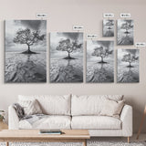 Lonely Tree, Coastal Roots, Ocean Breeze, Framed Canvas Print, Entryway Wall Art, Moody Nature Photography, Minimalist Earth Tones