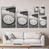 Sand Dollar, Coastal Shore, Ocean Shell Print, Canvas Print, Beachcomber Wall Art, Seaside Bathroom Decor, Nautical Nature Photography