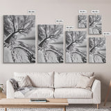 Coastal Snow, Barren Tree, Frozen Shoreline, Canvas Print, Serene Winter Decor, Entryway or Hallway Minimalist Wall Art