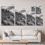 Hillside Forest, Peaceful Pines, Mountain Light, Framed Canvas Print, Nature Wall Art, Cabin Decor, Woodland Landscape Scene