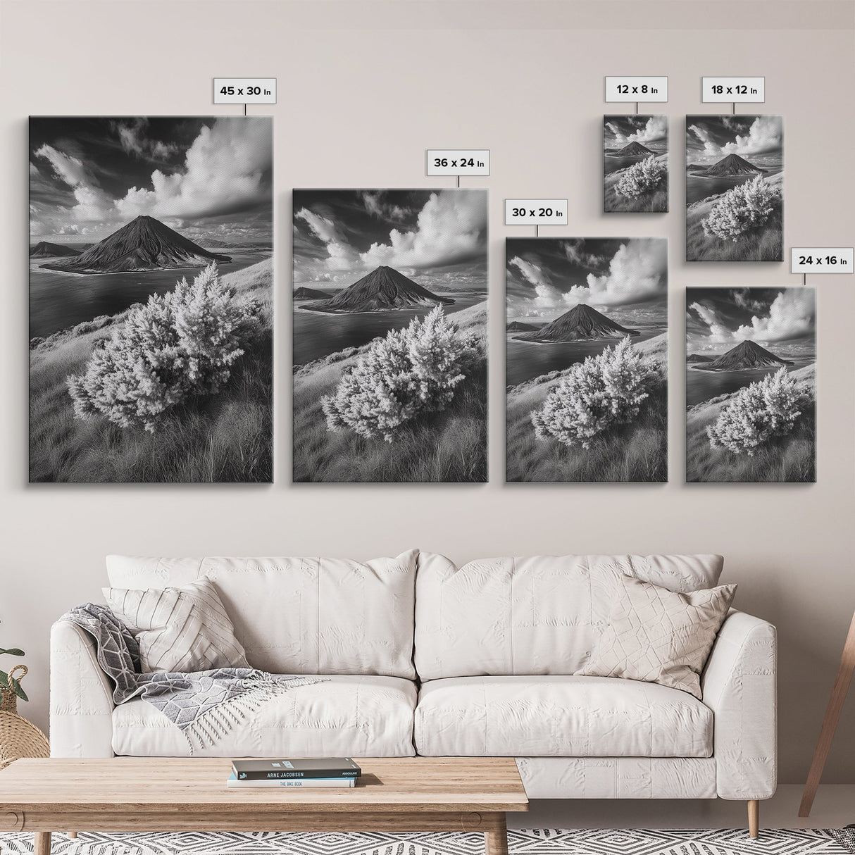 Majestic Volcano, Wild Grass, Black and White, Framed Canvas Print, Nature Photography, Office Decor, Moody Art, Rustic Wall Art