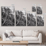 Windy Pines, Forest Landscape, Nature Photography, Framed Canvas Print, Rustic Wall Art, Cabin Decor, Minimalist Art, Fall Home Style