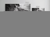 Coastal Trail, Forest Edge, Serene Path, Canvas Print, Black and White Nature Art, Entryway Wall Art, Tranquil Landscape, Moody Decor