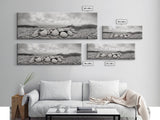 Scallop Shell Cluster, Dune Beach Scene, Canvas Print, Coastal Kitchen Decor, Minimalist Shell Wall Art, Natural Beach Aesthetic