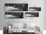 Ocean Trees, Shoreline Light, Majestic Forest, Beach Scene, Framed Canvas Print, Boho Wall Decor, Bedroom Art, Zen Coastal Artwork