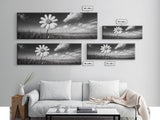 Daisy Flower, Single Bloom, Coastal Breeze, Minimal Wall Decor, Framed Canvas Print, Boho Bedroom Art, Nature Inspired Photography
