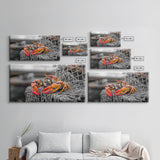 Bold Lobster, Nautical Art, Coastal Living, Red Claw, Framed Canvas Print, Beach House Wall Art, Kitchen Decor, Color Splash Style