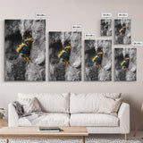 Fuzzy Bee Closeup, Insect Macro, Nature Texture, Framed Canvas Print, Wildlife Wall Art, Entomology Decor, Nature Photography