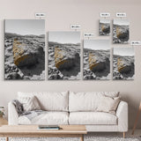 Yellow Lichen Rock, Monochrome Landscape, Desert Texture, Canvas Print, Rustic Wall Art, Minimalist Decor, Entryway or Office Art