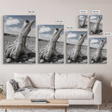 Coastal Driftwood, Beach Stump, Pebble Shore, Framed Canvas Print, Rustic Wall Art, Bathroom Decor, Earthy Beach House Accent