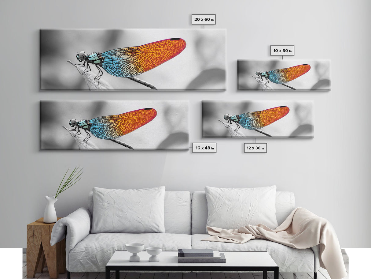 Closeup Dragonfly, Colorful Wings, Abstract Nature, Macro Art — Framed Canvas Print, Living Room Decor, Botanical Wall Art, Modern Minimal