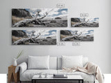 Driftwood, Coastal Tree, Beach Skeleton, Ocean Landscape, Framed Canvas Print, Coastal Decor, Neutral Tones, Office Wall Art