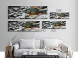 Colorful Fish Closeup, Underwater Art, Nature Photography, Canvas Print, Coastal Bathroom Decor, Vibrant Marine Life Wall Art