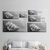 Sea Shell, Wabi Sabi Art, Coastal Decor, Minimalist Art, Nautical Wall Art, Moody Art, Extra Wide Art, Framed Canvas Print