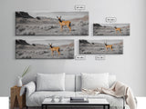Desert Deer, Southwest Wall Art, Wildlife Painting, Rustic Wall Art, Nature Decor, Extra Wide Art, Horizontal Wall Art, Framed Canvas Print