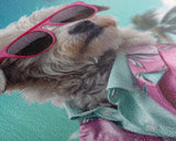 Shih Tzu Wall Print, Dog Wall Art, Dog Sunglasses, Pink Floral Suit, Funny Wall Art, Framed Wall Art, Framed Canvas, Wall Print, Wall Canvas