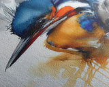 Watercolor of a Kingfisher, Framed Canvas Print, Bird Painting, Bird Watcher Art, Blue and Orange Kingfisher Watercolor Painting