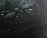 Butterfly In Woods, Butterfly Wall Decor, Dark Art, Green Wall Art, Insect Wall Decor, Wall Decor, Canvas Print, Wall Art, Framed Canvas