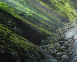 Panoramic Print of Oneonta Gorge Columbia River Extra Large Wall Art, Panoramic Wall Art, Panoramic Landscape Print, Landscape Photography