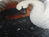 Two Swans in Love, Framed Canvas Print, Goth Decor, Wedding Gift Idea, Engagement Gift, Gift For Couples, Swan Painting, Swan Art