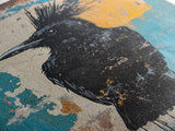 This crow has a mohawk, AKA a CROHAWK, Framed Canvas Print