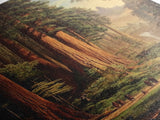 Ancient California Redwoods Framed Canvas Print, Fantasy Painting, Fantasy Wall Art, Beautiful California Wall Art
