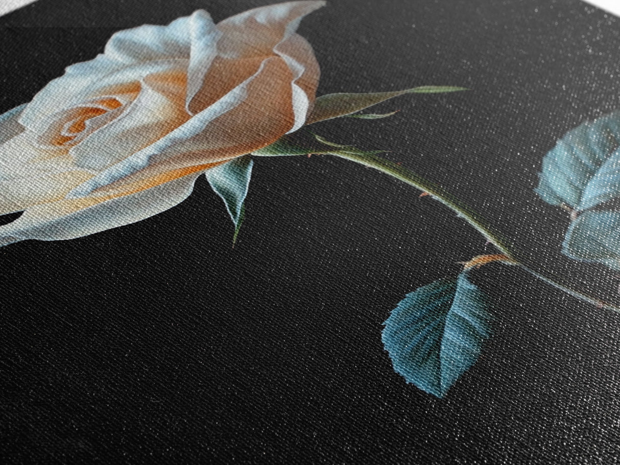 Still Life Photograph of a White Rose, Framed Canvas Print, Rose Painting, Rose Decor, Rose Wall Art, Mother's Day Gift Idea, Flower Wall Art