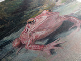 Painting of a Pink Frog, Framed Canvas Print, Wood Framed Wall Art, Home Decor, Preppy Pink Frog Wall Art, Dark Academia Decor