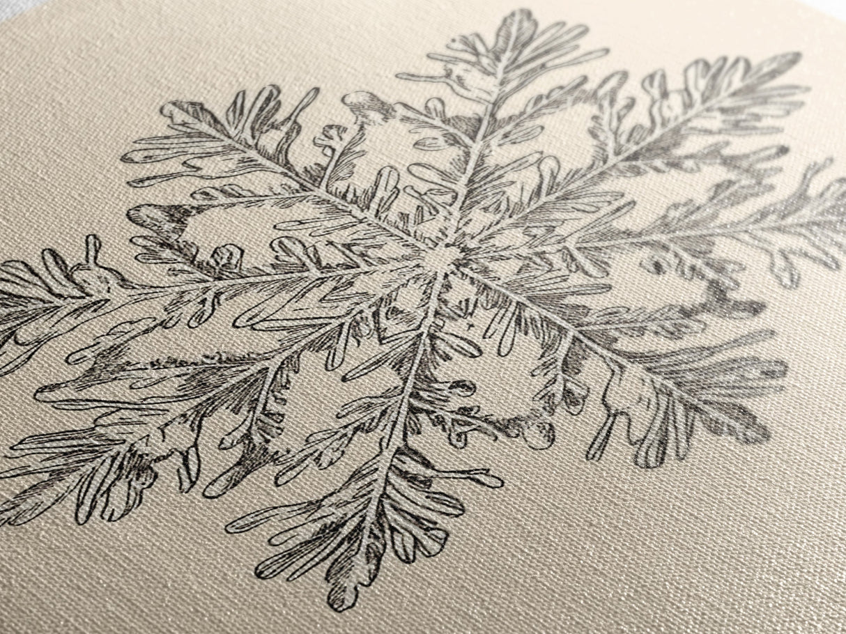 Sketch of a Snowflake Canvas Print - Framed Canvas - Minimalist Christmas Art - Boho Christmas Art - Rustic Christmas Art