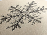 Drawing of a Snowflake Canvas Print - Framed Canvas - Minimalist Christmas Art - Boho Christmas Art - Rustic Christmas Art