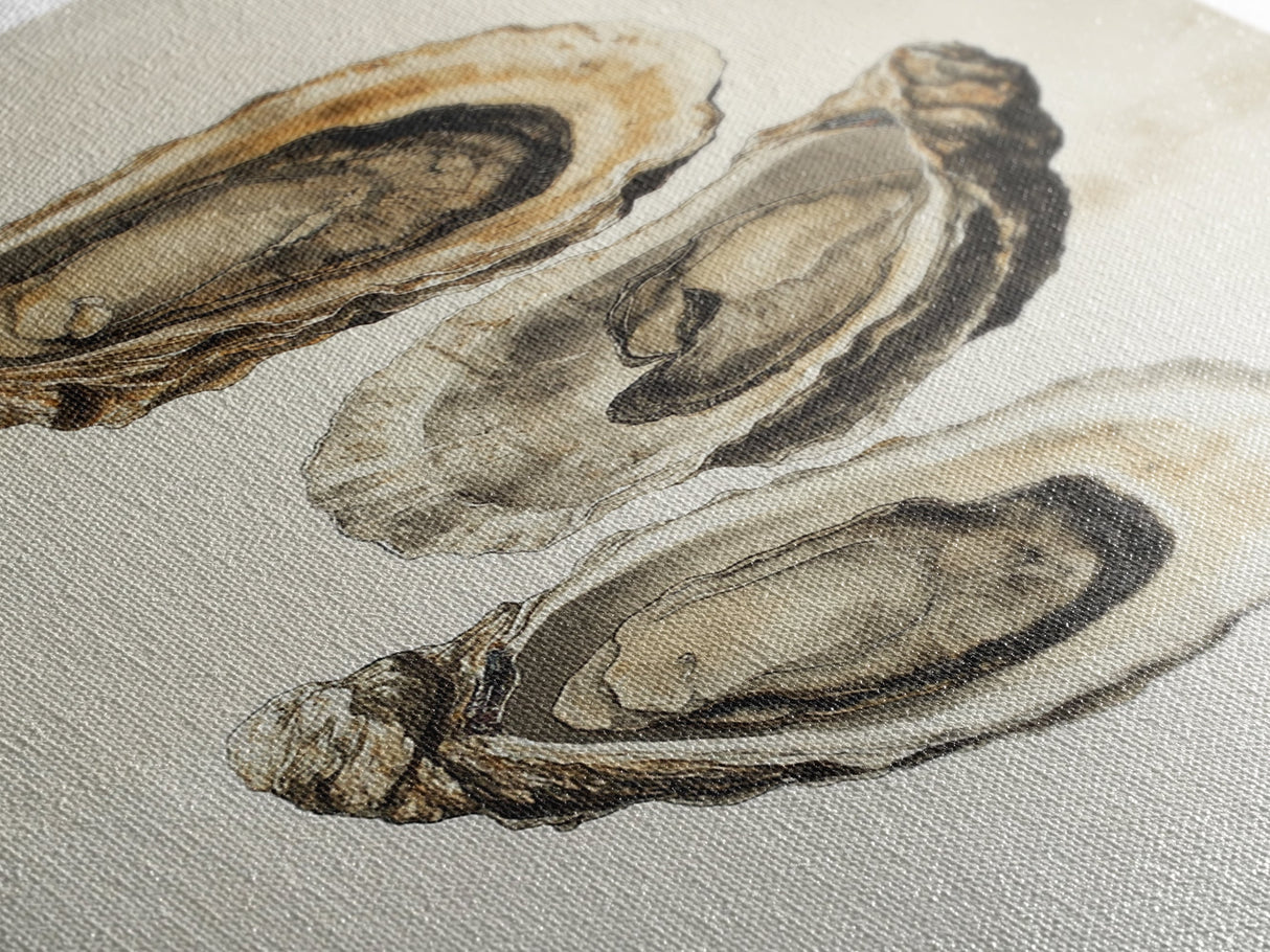 Wabi Sabi Oyster Pearl Watercolor Painting Print, Coastal Art, Gift For Her Or Him, Japanese style Artwork, Oyster Shell Painting, Oyster Art