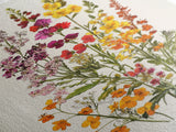 Retro Still Life Of Wild Flowers, Framed Canvas Print, Windflower Painting, Floral Print, Botanical Wall Art, Garden Decor, Wabi Sabi Wall Art