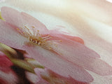Closeup of a Cherry Blossom, Framed Canvas Print, Cherry Blossom Wall Art, Soothing Wall Art, Meditation Room Decor, Minimalist Art