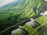 Scottish Highlands Canvas Print | Scottish Farmhouse Wall Art | Painting of Sheep in Scotland | Scotland Landscape Oil Painting