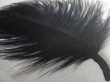 Abstract Black Feather Painting Print, Tall Skinny Art, Retro Home Decor, Abstract Art, Narrow Tall Wall Art, Feather Art, Farmhouse Art