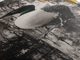 Loon on a Post, Nature Wildlife Art, Rustic Lake House Decor, Canvas Print, Black and White Bird Art, Minimalist Nature Wall Decor