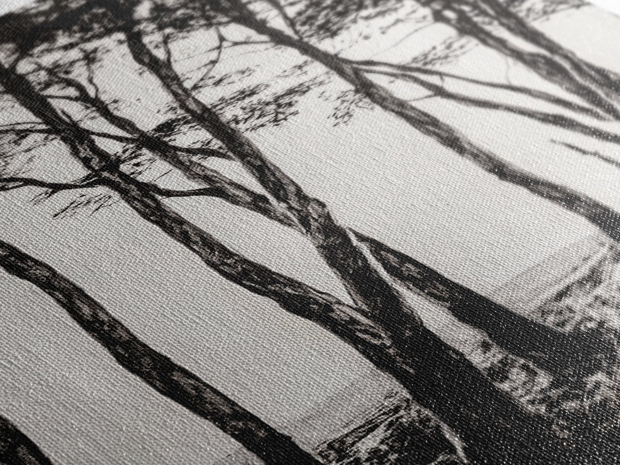Tall Trees, Monochrome Forest, Tranquil Landscape, Framed Canvas Print, Nature Wall Art, Rustic Cabin Decor, Modern Minimalist Art