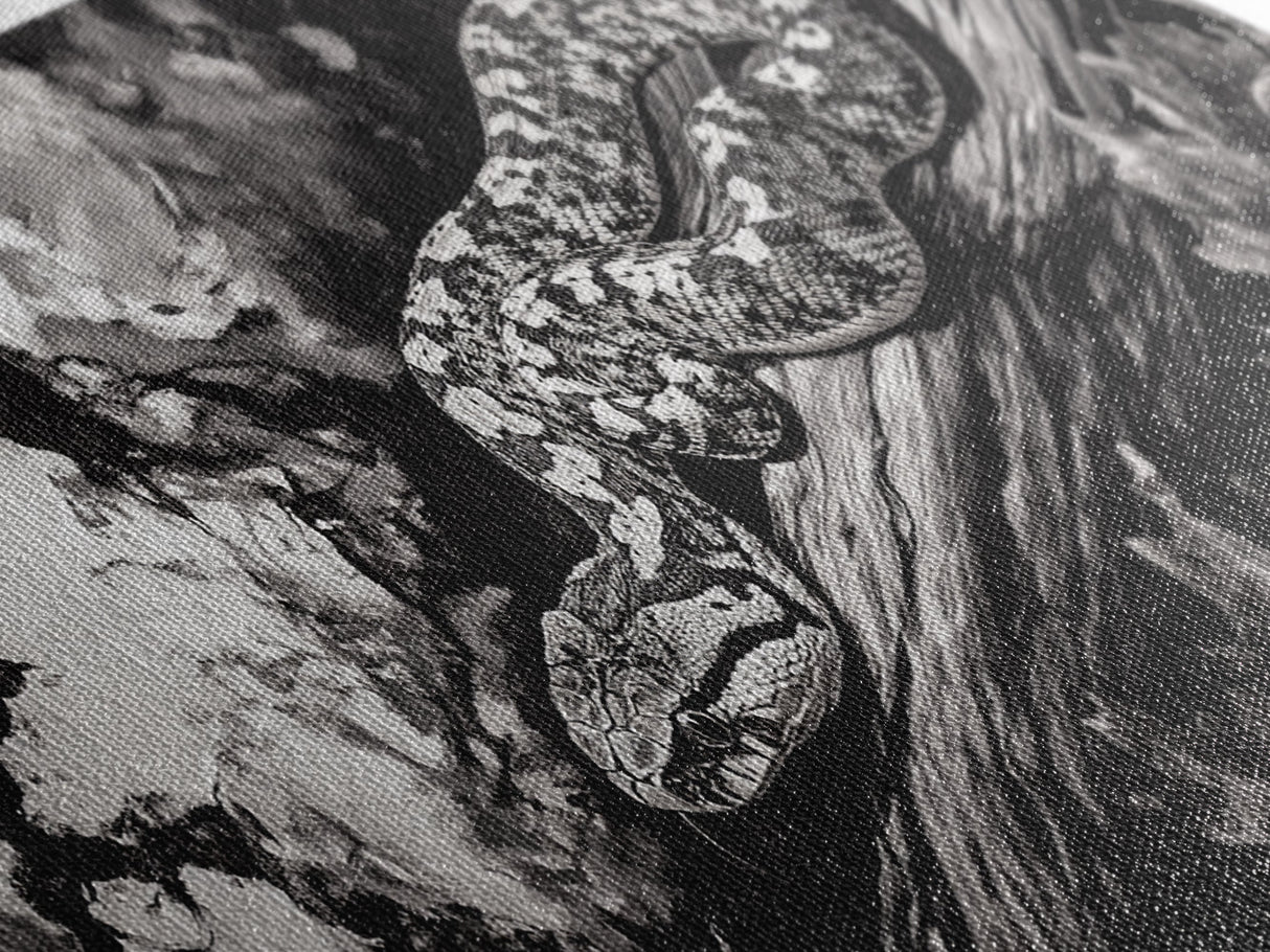 Timber Rattlesnake, Wildlife Artwork, Black and White Nature Art, Rustic Home Decor, Forest Animal Print, Living Room Art, Canvas Print