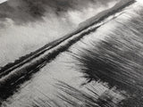 Marshland Landscape, Moody Black and White Art, Nature Wall Decor, Large Framed Canvas Print, Serene Wetlands Painting