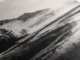 Foggy Forest, Monochrome Wall Art, Nature Landscape, Tranquil Painting, Living Room Decor, Rustic Style, Framed Canvas Print