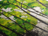 Birch Trees, Green Forest Art, Nature Landscape, Abstract Painting, Contemporary Wall Decor, Earthy Home Art, Framed Canvas Print