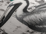 Pelican Portrait, wildlife wall art, coastal nature painting, black and white bird decor, modern beach house print, framed canvas print